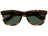 Tristen Tortoise Sunglasses Polarised